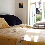 King Room Nearby